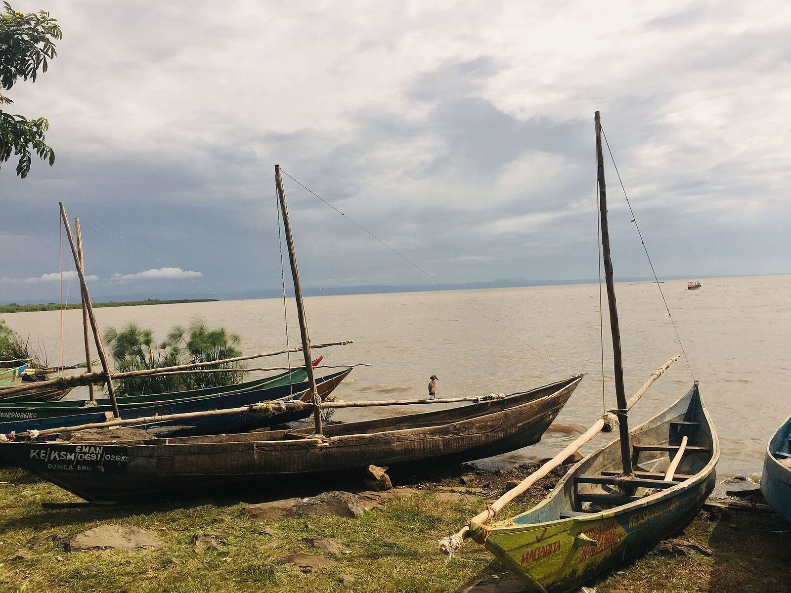 Wooden boats pulled up on Dunga Beach, Kisumu